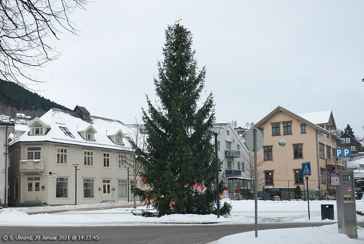 Torget med Juletreet, Joletreet,
