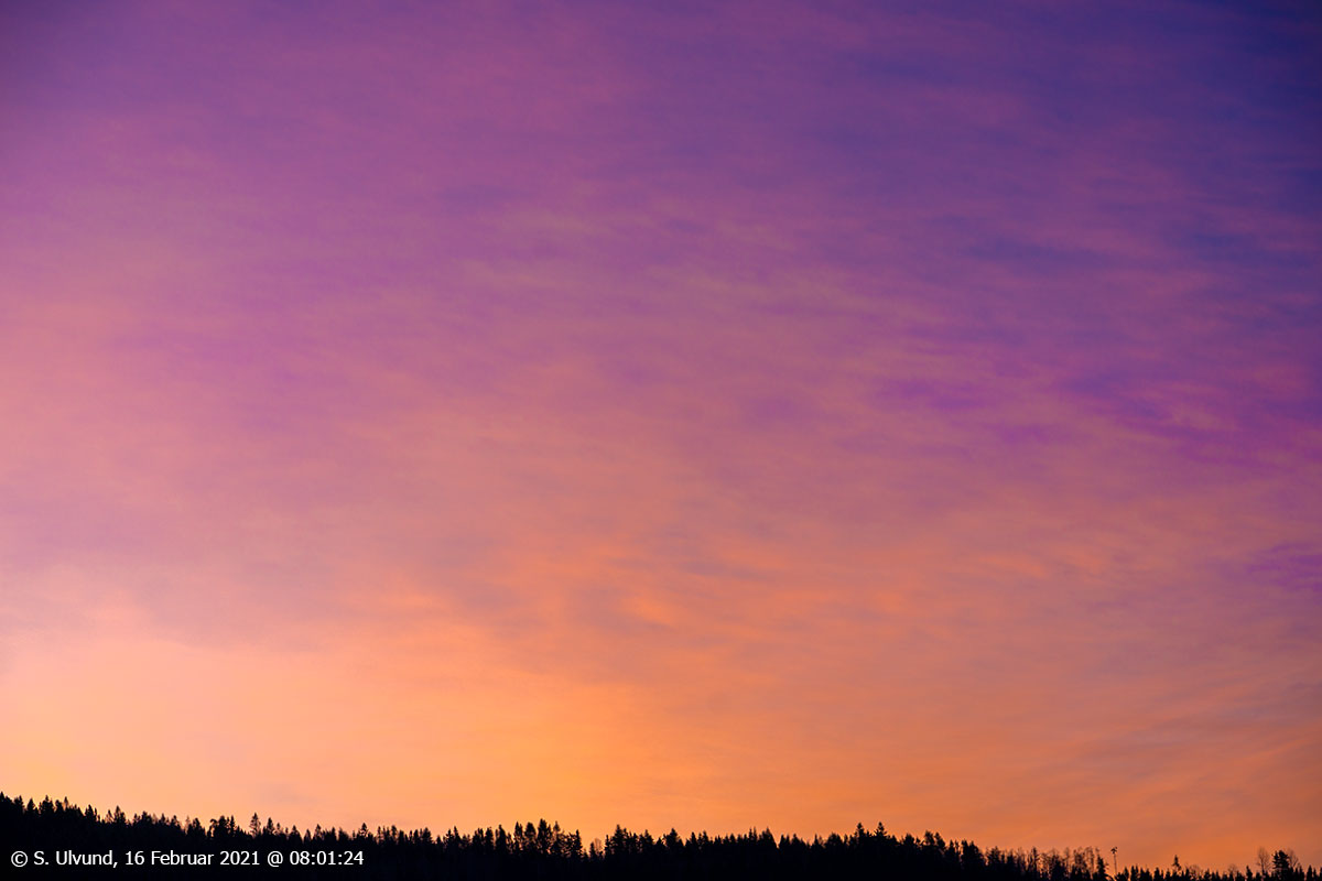 Koglehaugen Motræet