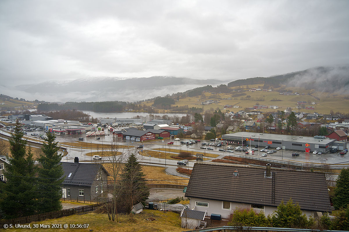 Skulestadmo frå Koglehaugen (Motræet)