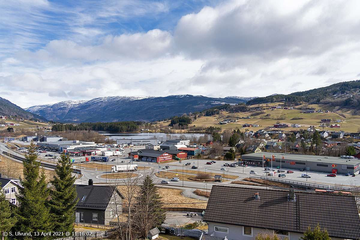 Skulestadmo frå Koglehaugen (Motræet)