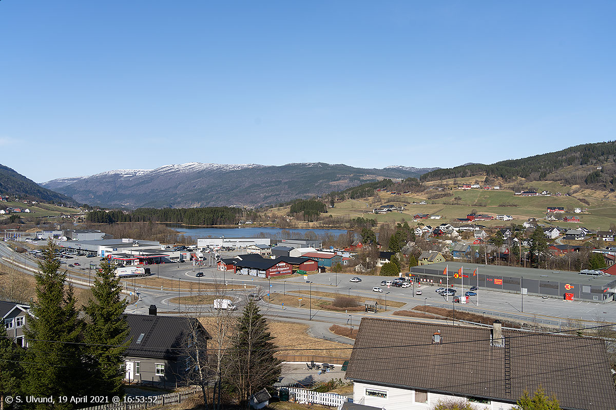 Skulestadmo frå Koglehaugen (Motræet)