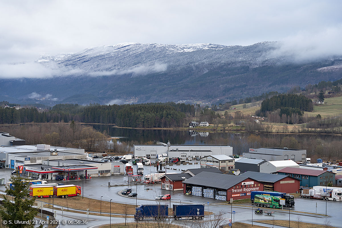 Skulestadmo frå Koglehaugen (Motræet)