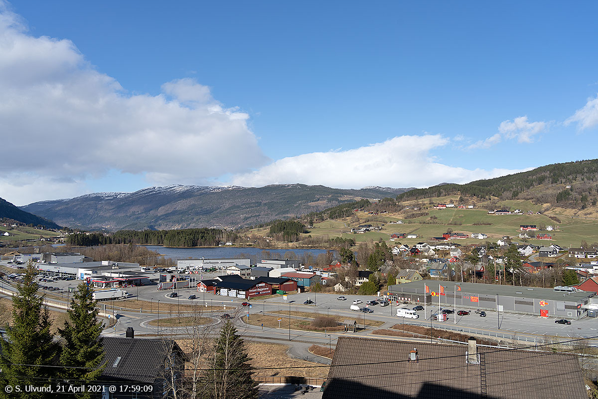 Skulestadmo frå Koglehaugen (Motræet)